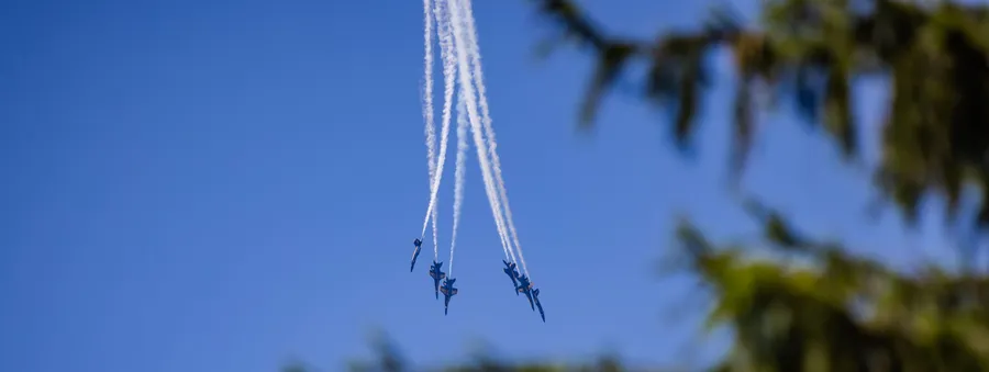 Be careful what you dream