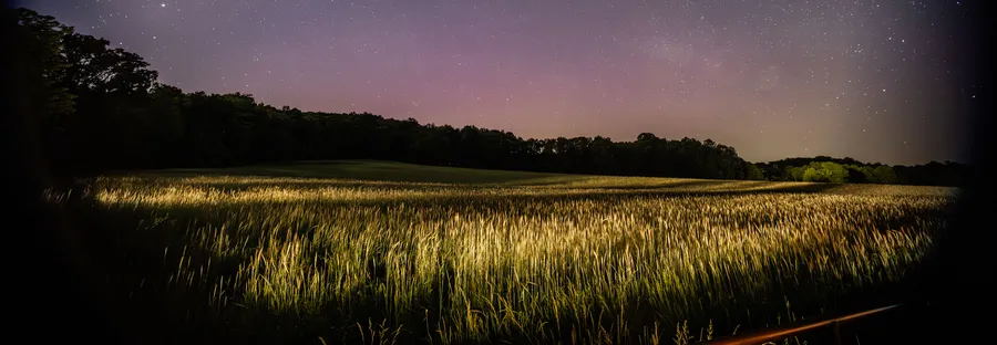 Discover tips and tricks for a successful day out with your baby! From feeding schedules to nap times, learn how to navigate trips away from home smoothly.