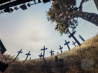 Crosses on a hillside under a hazy sky